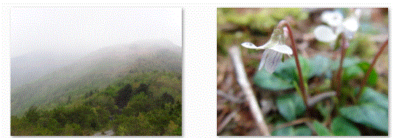 f0231709_1581069.gif