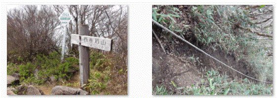 f0231709_16293427.gif