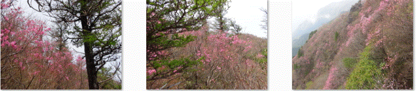 f0231709_1725482.gif