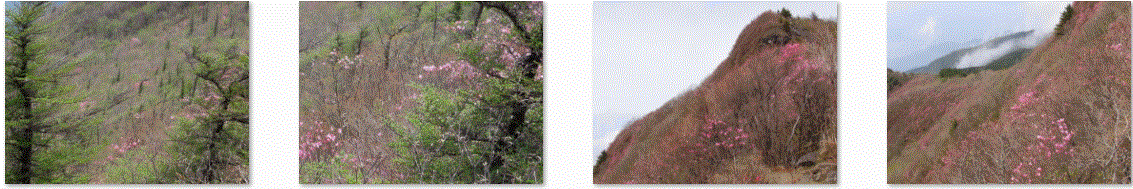 f0231709_17302696.gif