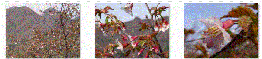 f0231709_19404752.gif