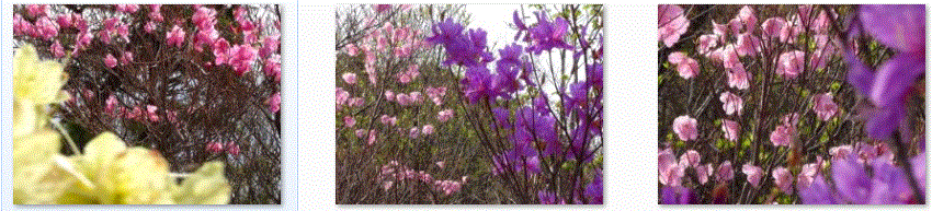 f0231709_1944158.gif