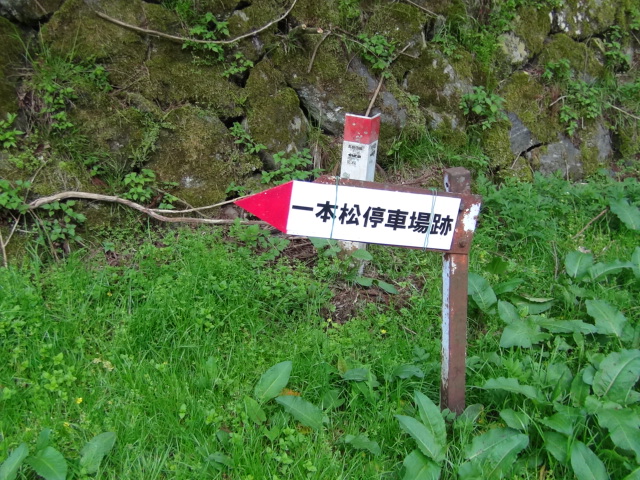 f0231709_19452492.jpg