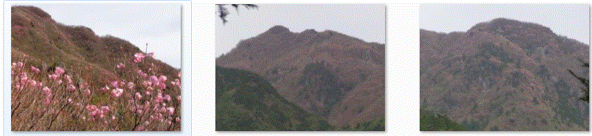 f0231709_19484284.gif