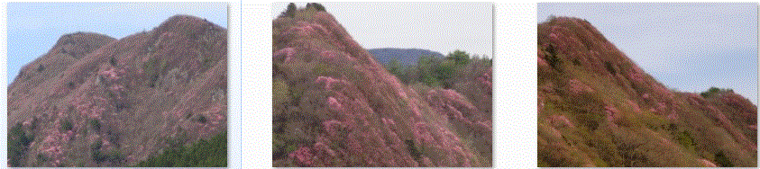 f0231709_19503065.gif