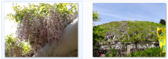 f0231709_21465949.gif