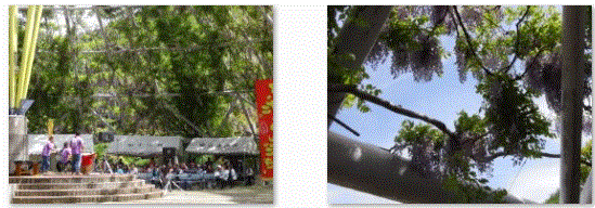 f0231709_2148419.gif