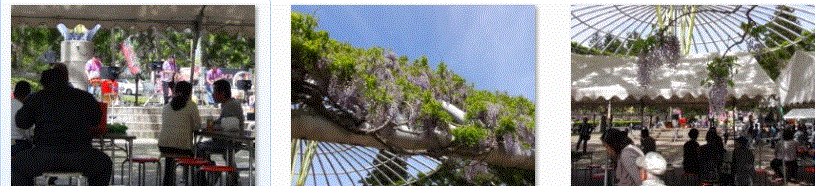 f0231709_21505910.gif
