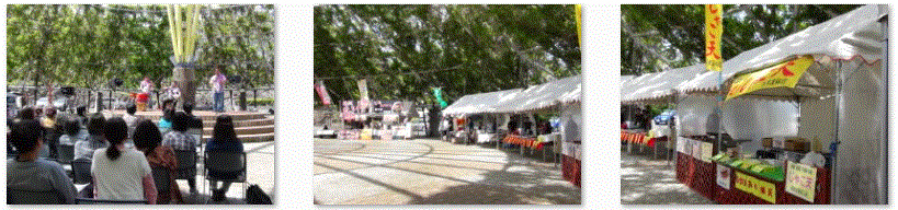 f0231709_21524788.gif