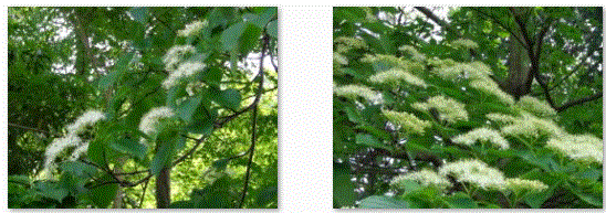 f0231709_22161318.gif