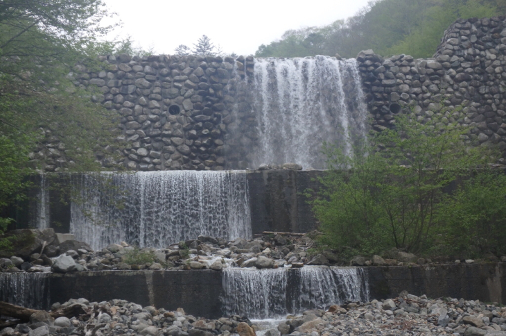a0335310_21595623.jpg