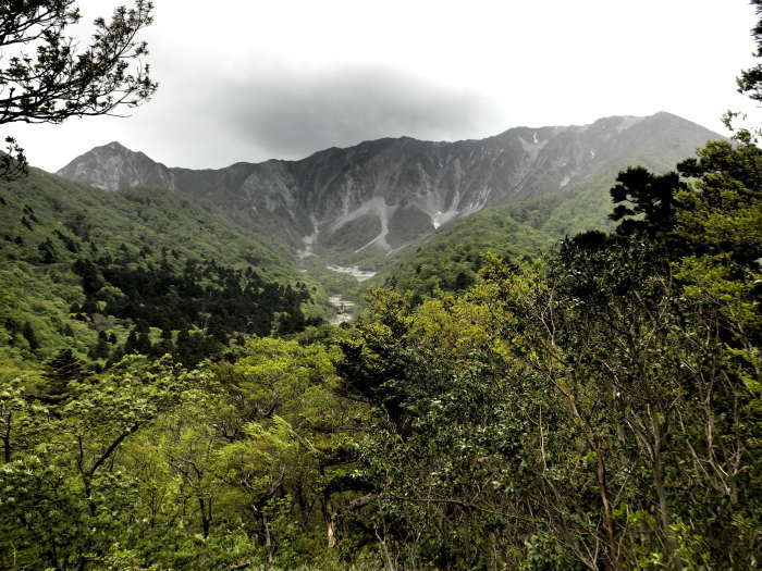 大山寺周辺を歩く_f0219710_07151884.jpg