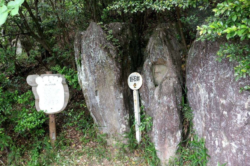 飯野山（讃岐富士）へ登る_f0212511_11554.jpg