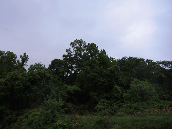c0346119_22570102.jpg