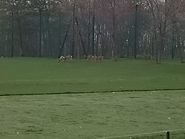 f0227321_21101179.jpg