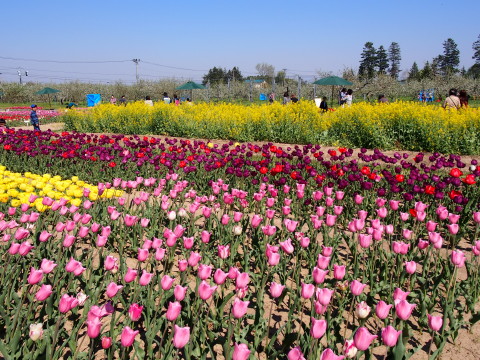 b0147224_2211892.jpg