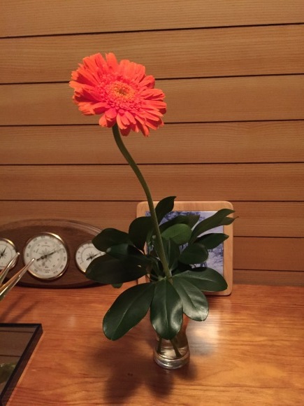 b0164428_22460131.jpeg