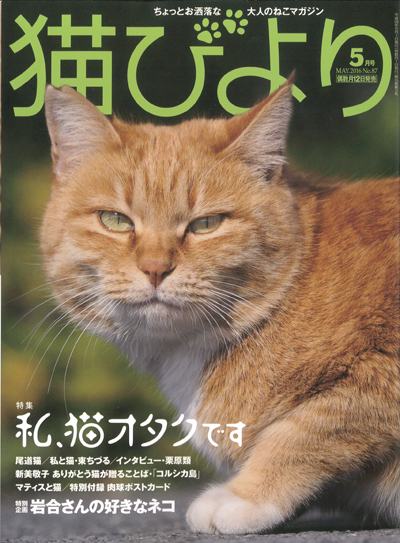 猫びより　No.87　2016年5月号_d0083729_14453420.jpg