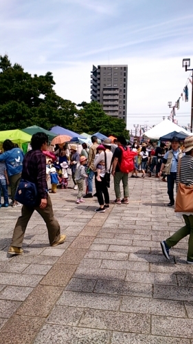 f0302930_14464414.jpeg