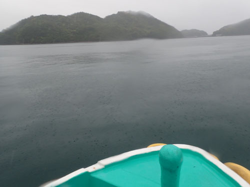 2016年5月9日(月・雨)甲浦_d0164831_1442694.jpg