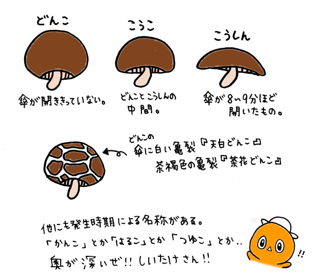 c0259934_11490019.png
