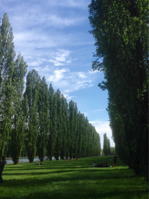 ソー公園〜桜の木の下でピクニック〜_d0337937_04155817.jpg