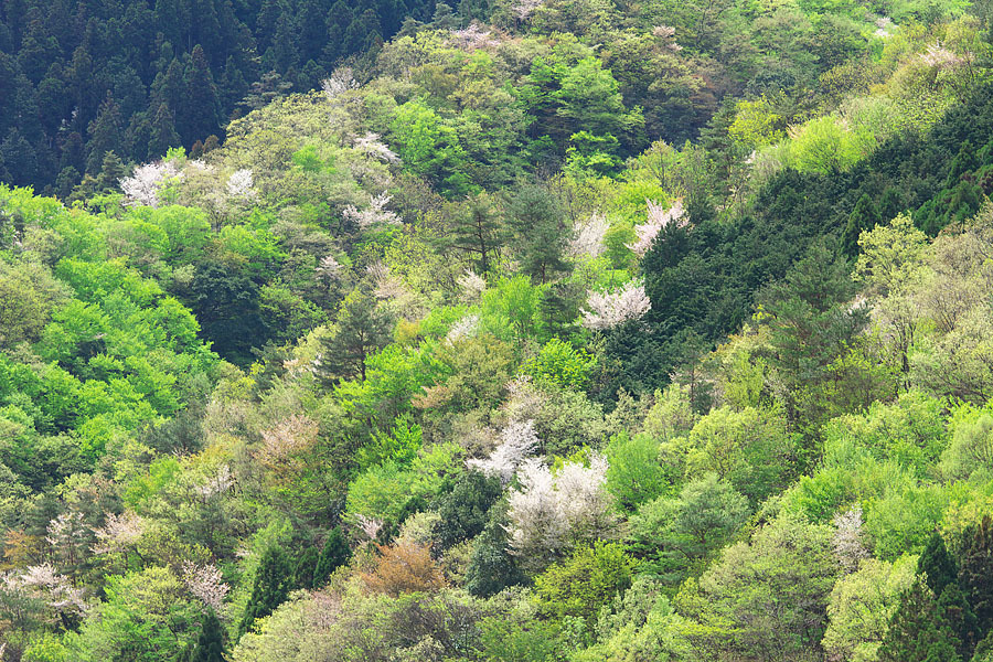 c0067040_22101170.jpg