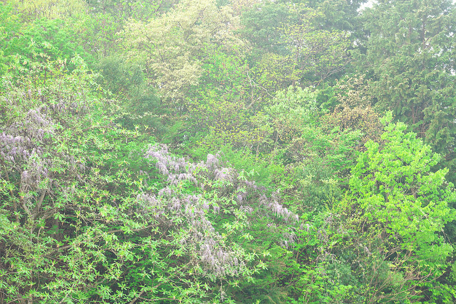 c0067040_22110166.jpg