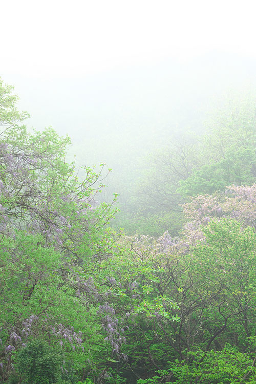 c0067040_22110891.jpg