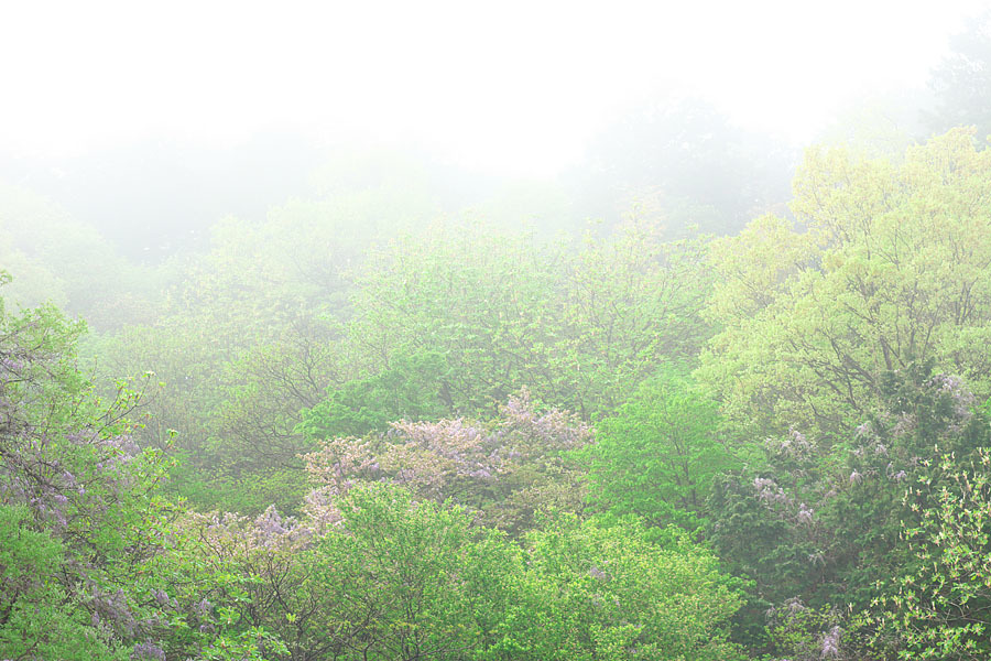 c0067040_22111546.jpg