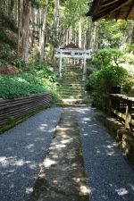 古畑任三郎 汚れた王将 のほほん便り 古畑任三郎 汚れた王将 のほほん便り
