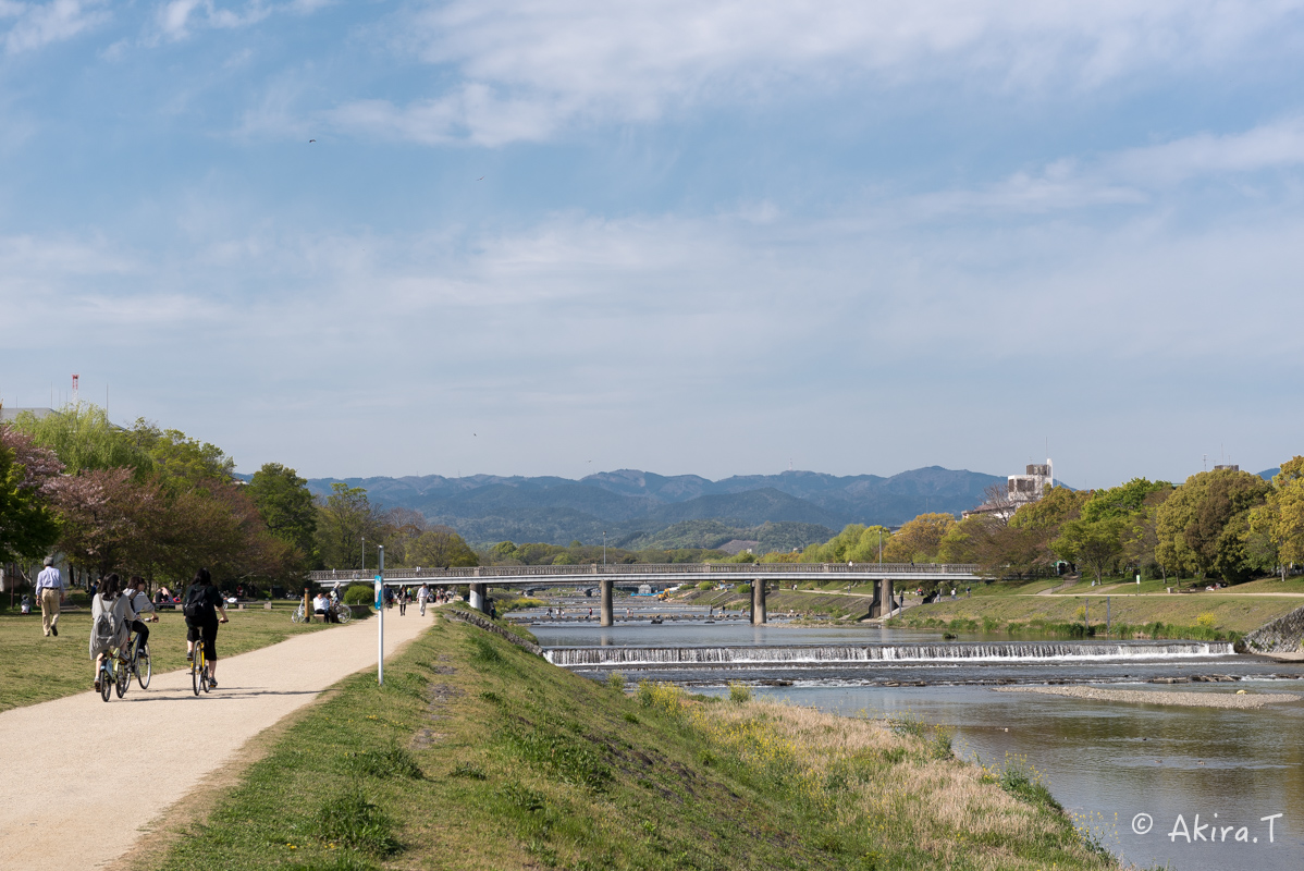 鴨川ワンコ散歩 -1-_f0152550_21522037.jpg