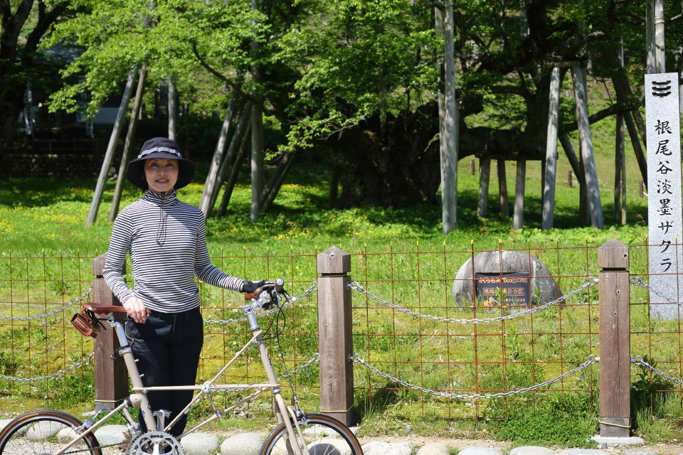 樽見鉄道サイクルトレイン -- Spring 2016 --_b0078651_048257.jpg