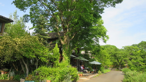 f0352451_20544773.jpg