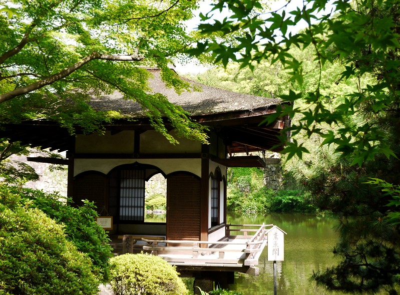 　　紅葉渓庭園にて_b0093754_17254840.jpg