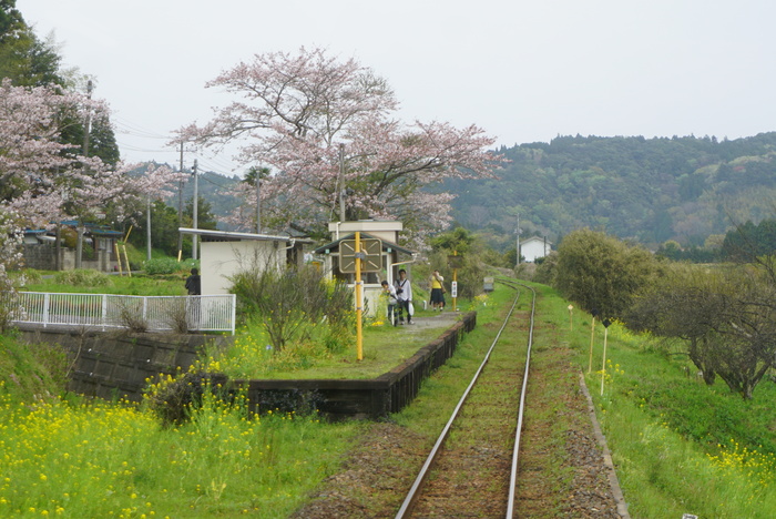 いすみ鉄道　ムーミン列車の旅　7_d0152261_11383628.jpg