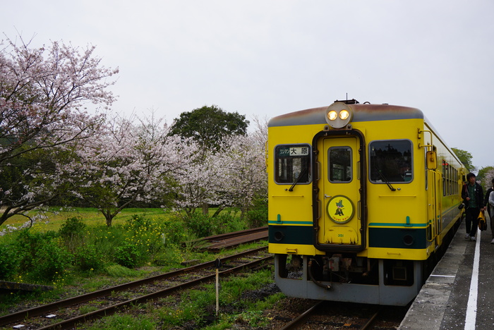 いすみ鉄道　ムーミン列車の旅　7_d0152261_11425959.jpg