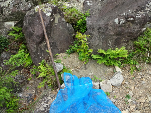 c0245666_9415712.jpg