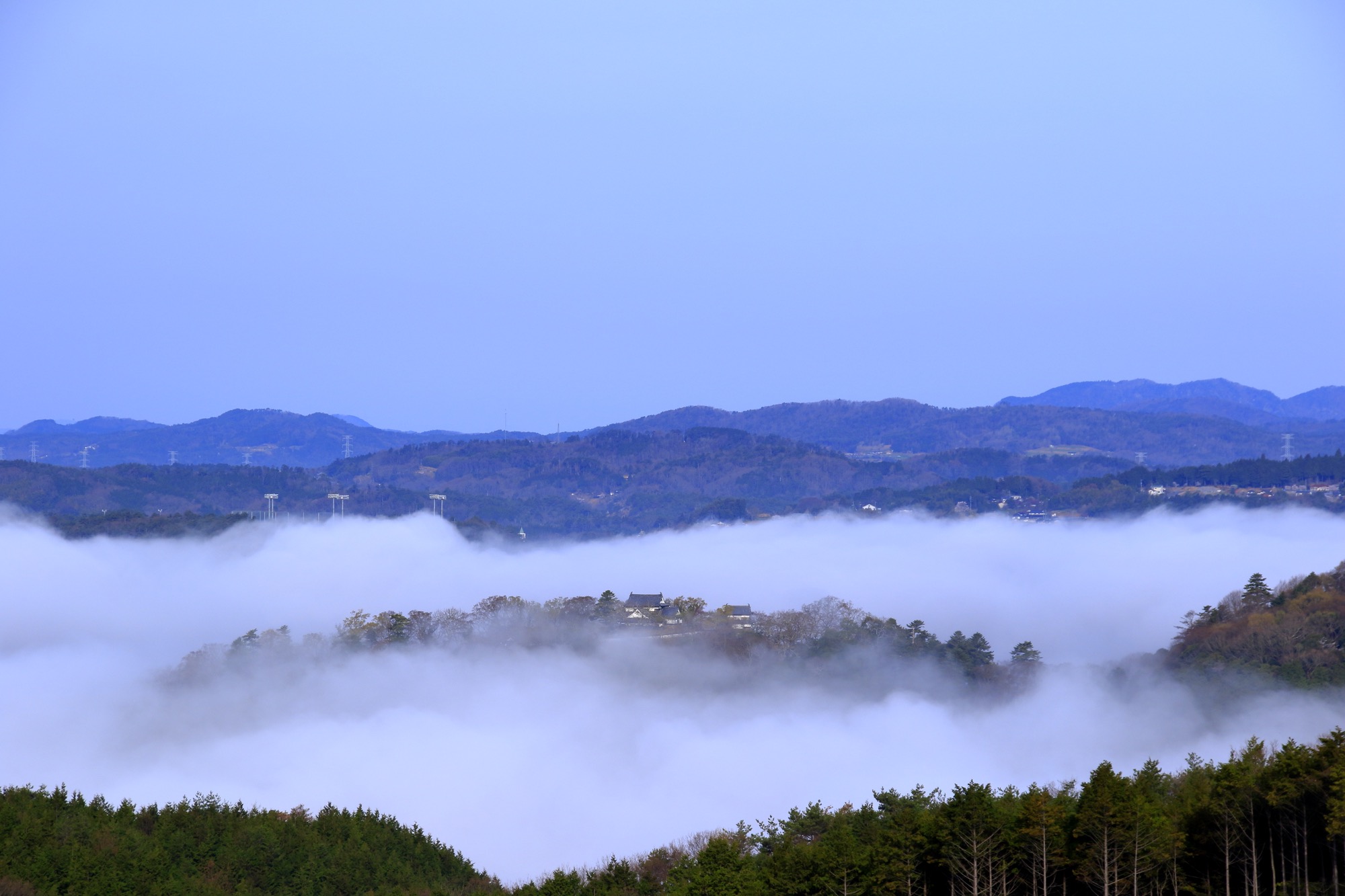 春の天空の城_b0222467_2154995.jpg