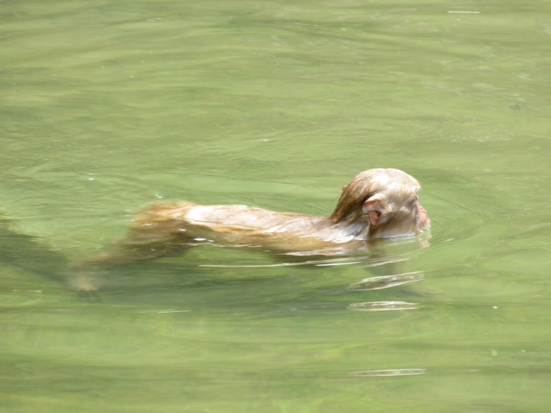 f0233068_14132756.jpg