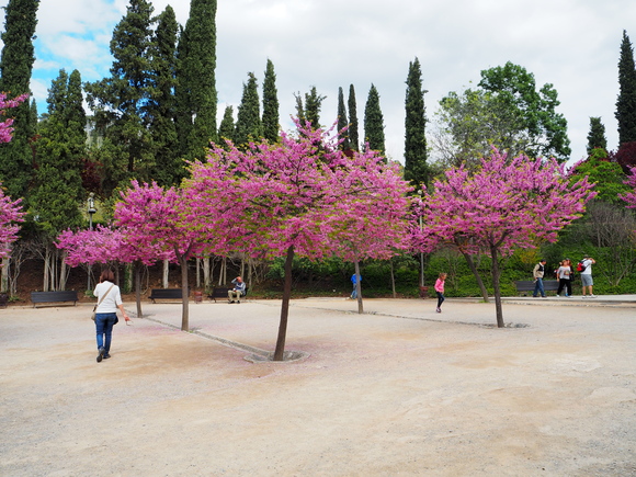d0193569_10343514.jpg