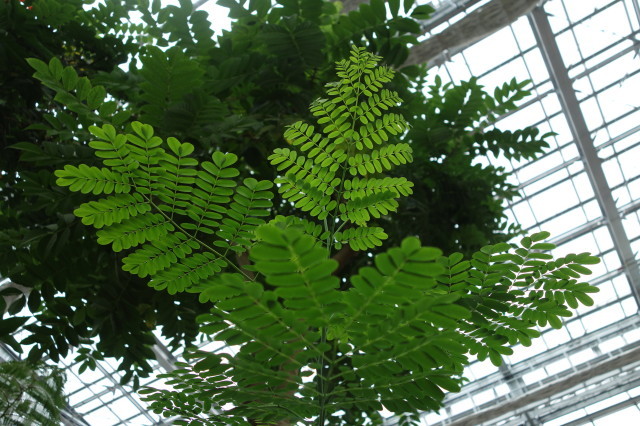 e0303769_15510269.jpg