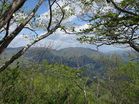 国見岳北東尾根～伊吹山北尾根縦走_f0302771_2320493.jpg