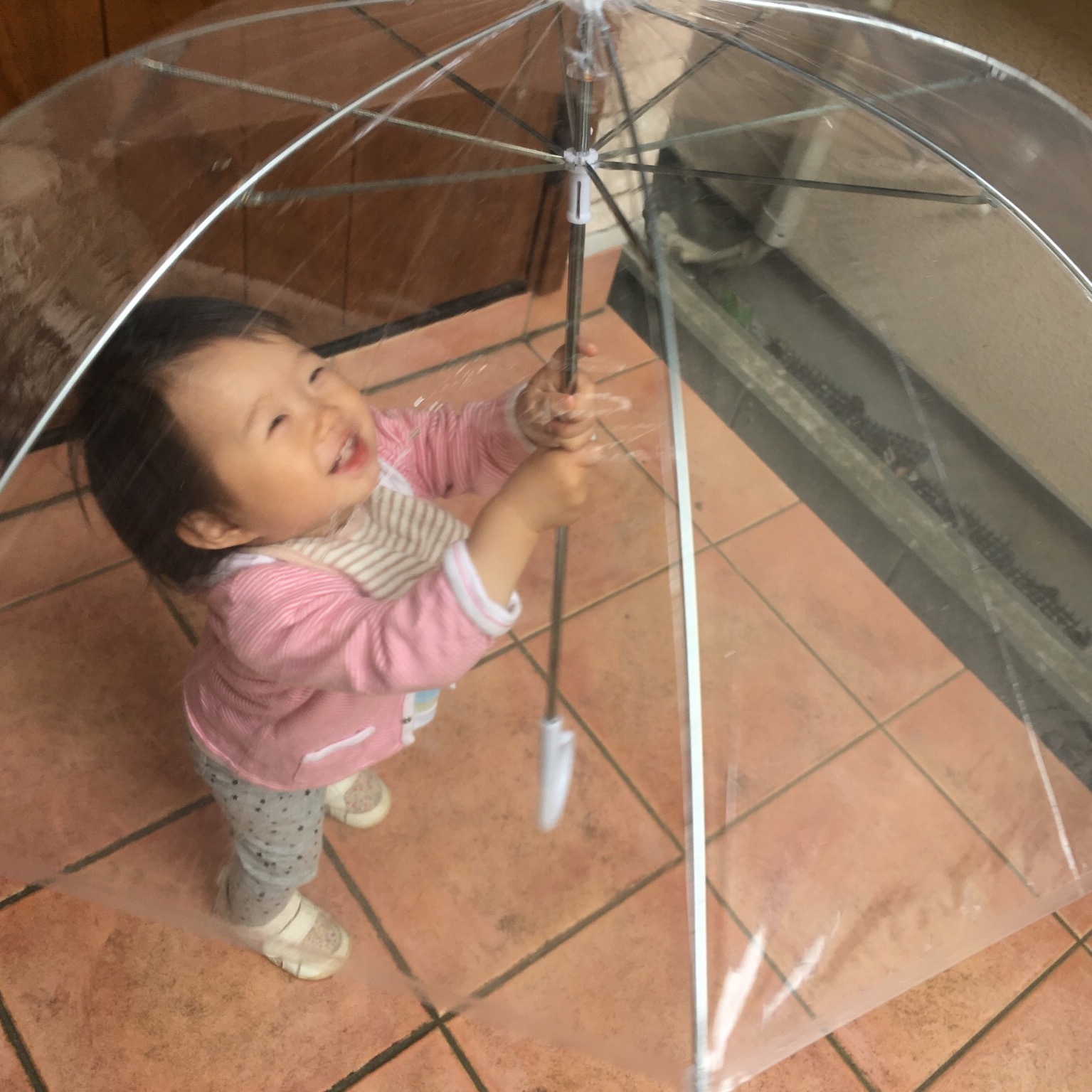 d0041575_19511460.jpeg