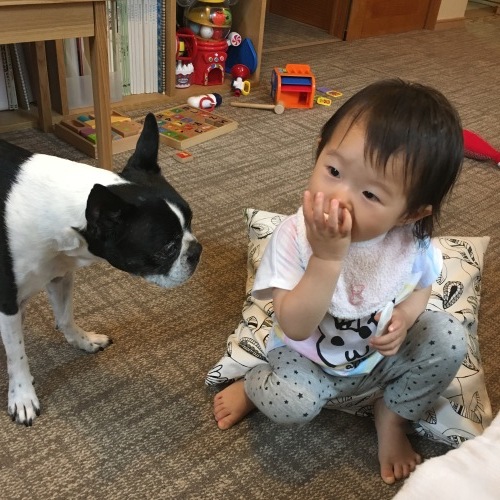 d0041575_19541583.jpeg