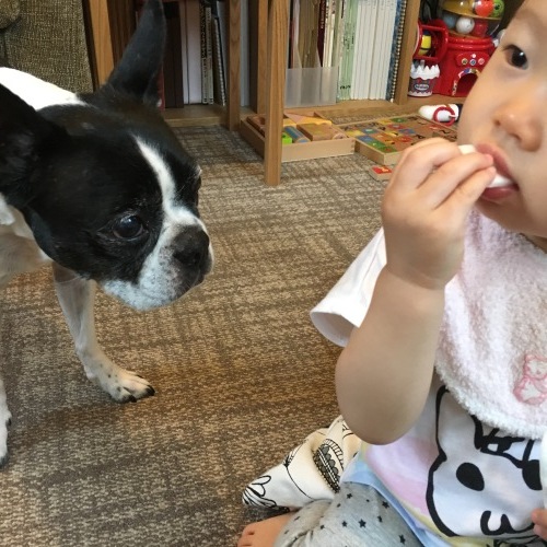 d0041575_19550139.jpeg