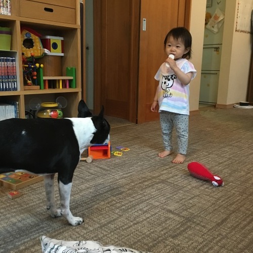 d0041575_19555494.jpeg