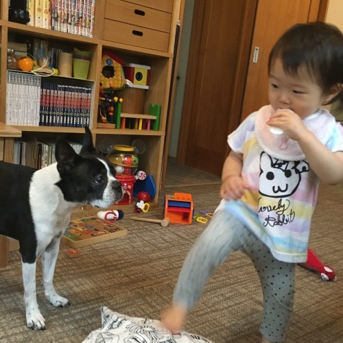 d0041575_19562221.jpeg