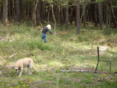 f0052277_418740.jpg