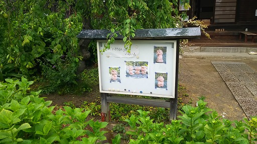 e0020682_18111718.jpg